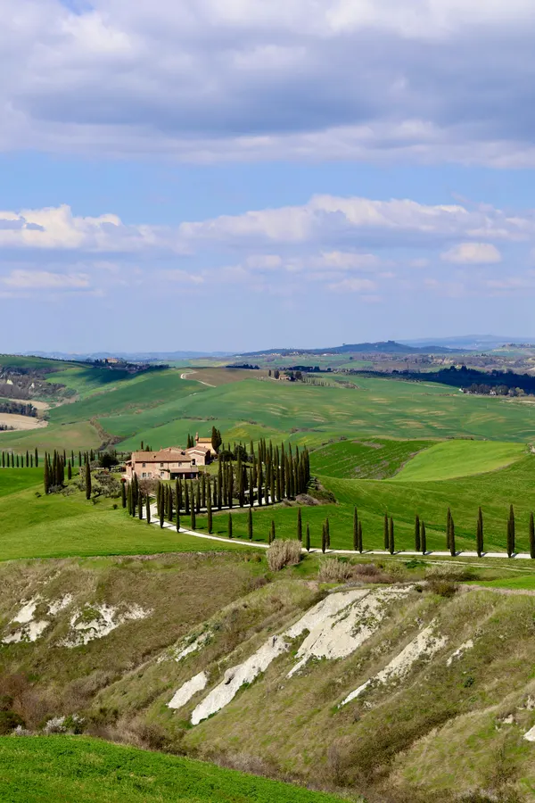Trattoria Gelsomina, dettaglio