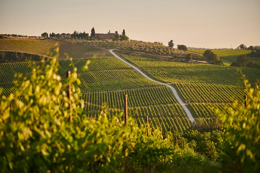 Agriturismo Le Sorbe, Cupramontana